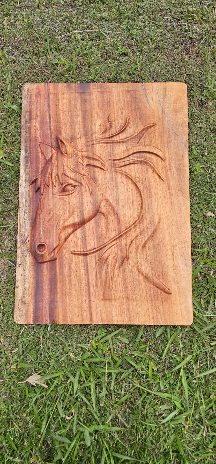 Caballo grabado en alto relieve sobre madera